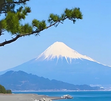 2026年9月日本签证新规要点